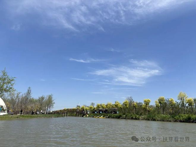 景美的宝藏旅行地——七星岛湿地风景区开元棋牌app在天津发现了一个人少(图2)