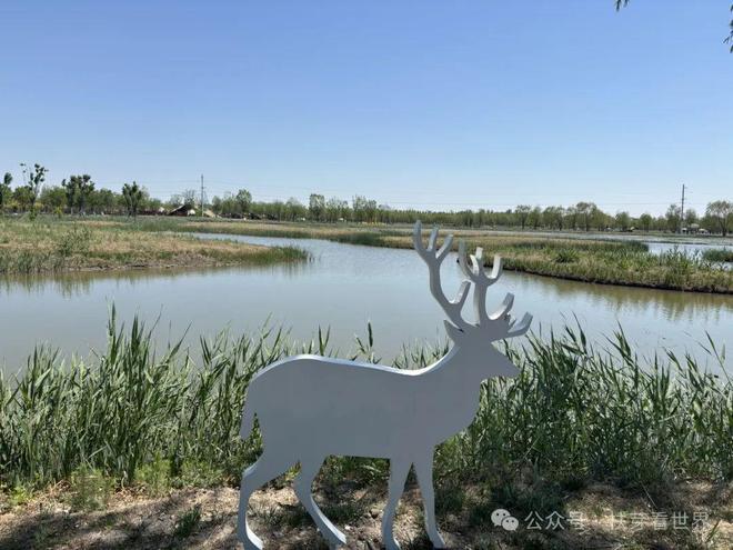 景美的宝藏旅行地——七星岛湿地风景区开元棋牌app在天津发现了一个人少