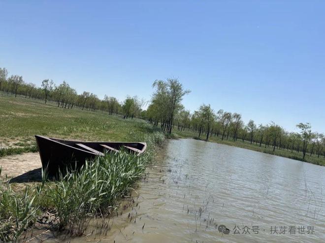 景美的宝藏旅行地——七星岛湿地风景区开元棋牌app在天津发现了一个人少(图3)