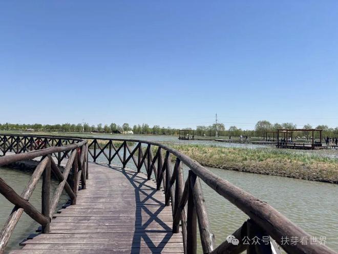 景美的宝藏旅行地——七星岛湿地风景区开元棋牌app在天津发现了一个人少(图7)